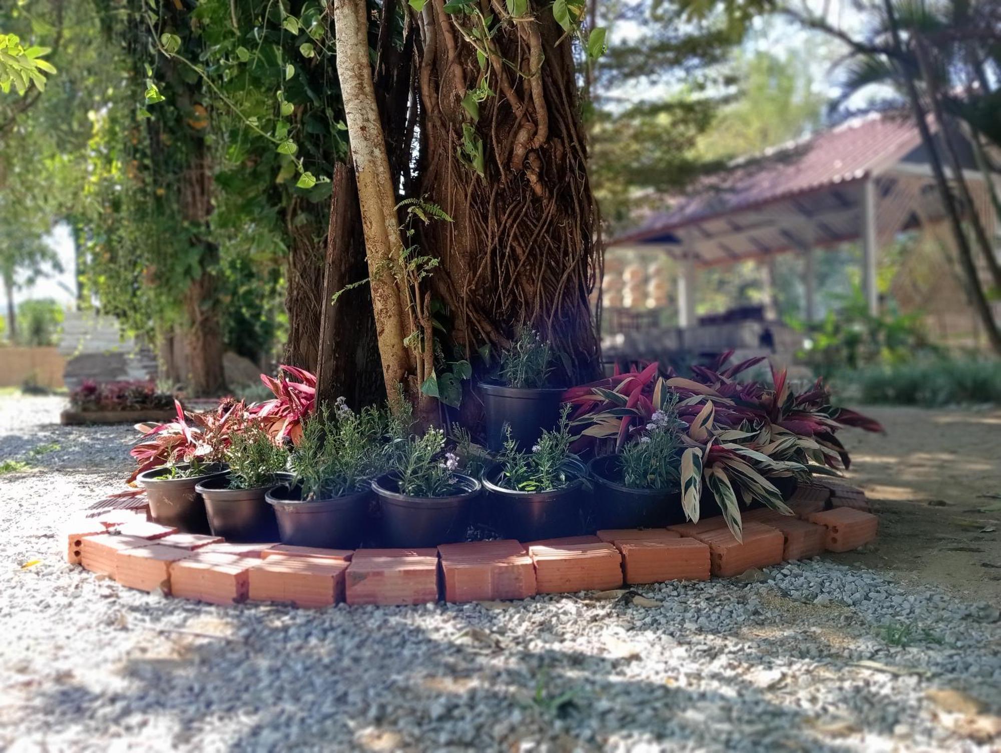Vangvieng Ruby'Homestay Ванг Виенг Екстериор снимка