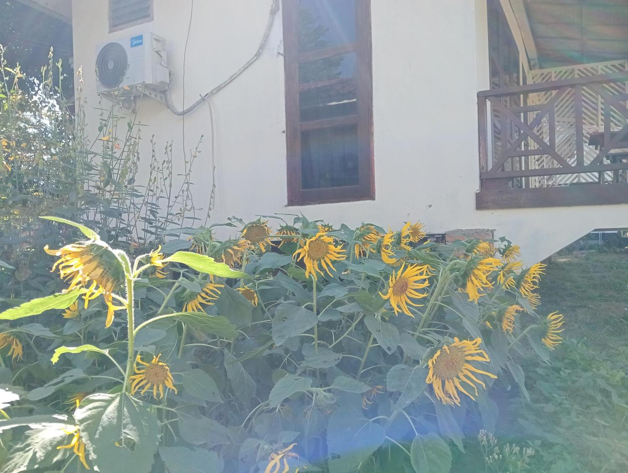 Vangvieng Ruby'Homestay Ванг Виенг Екстериор снимка